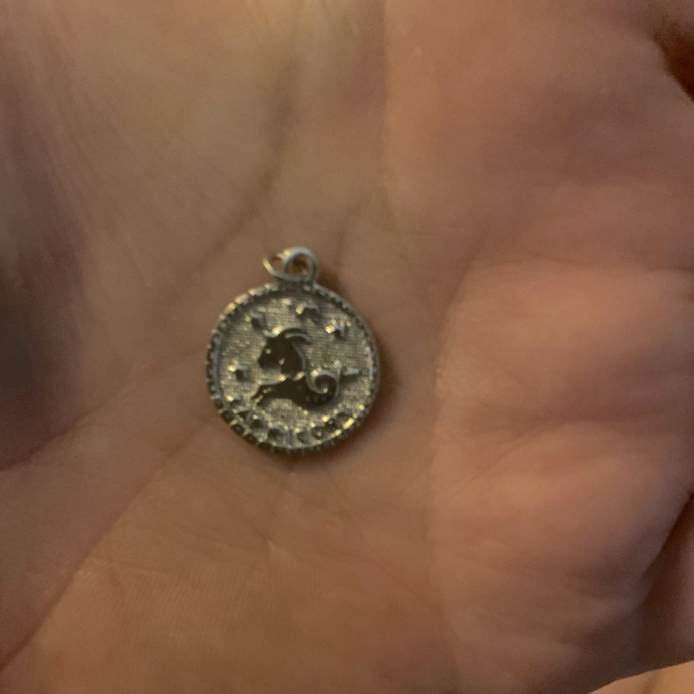 Capricorn pendent
